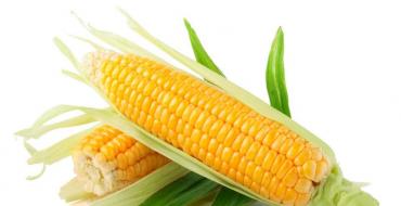 Как правильно и где хранить варёную кукурузу?