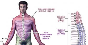 Hernie la nivelul coloanei vertebrale toracice - cauze, simptome, metode de tratament